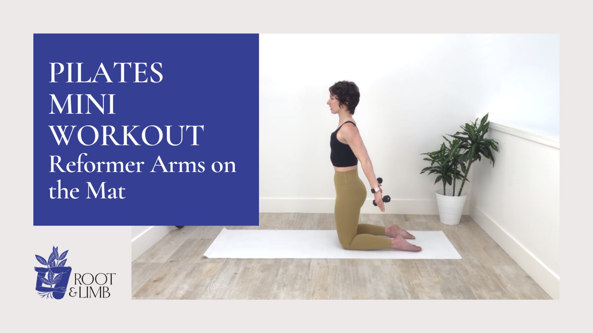 Reformer Arms on the Mat 