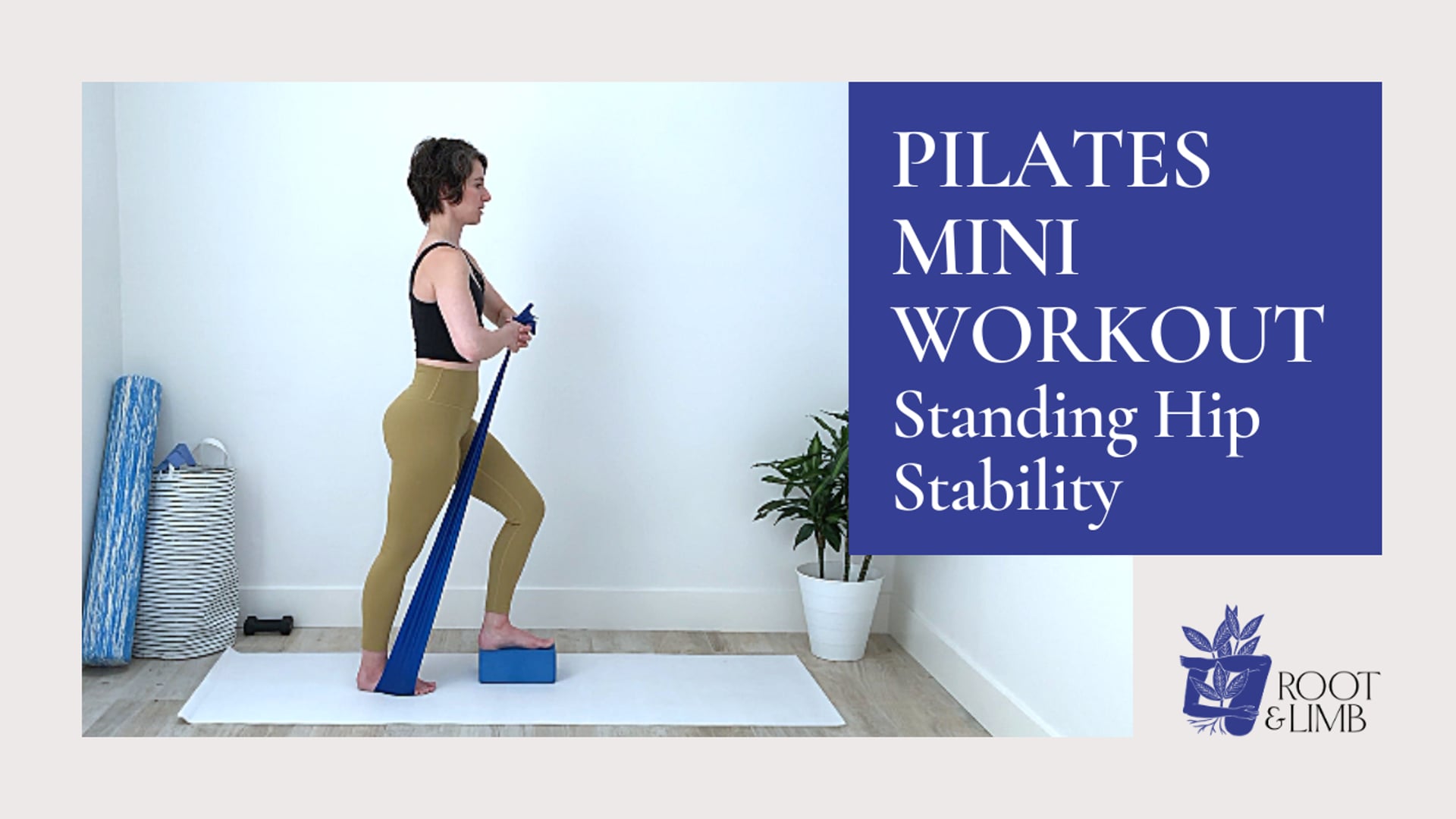Standing Hip Stability 