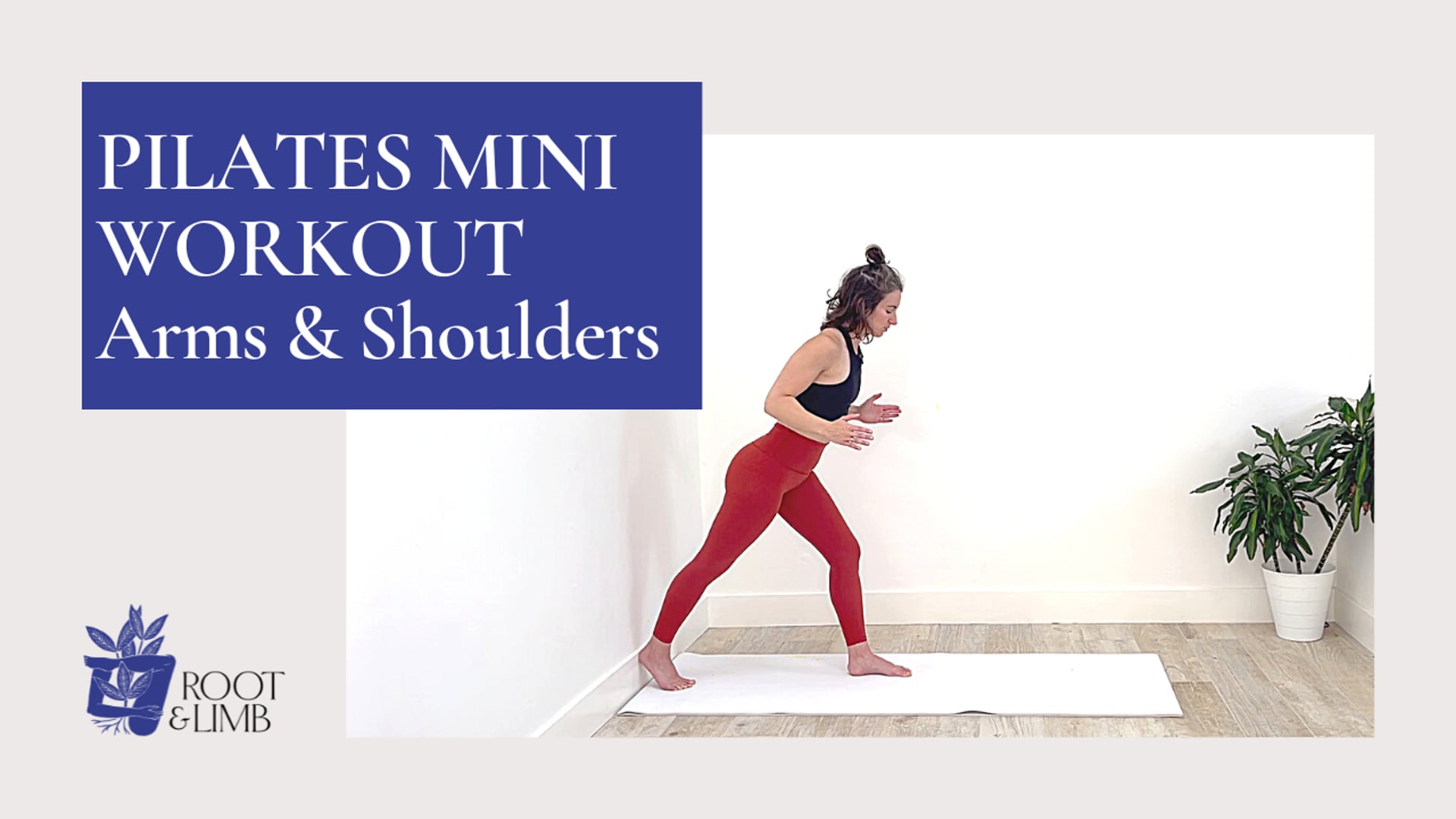 Arms & Shoulders 