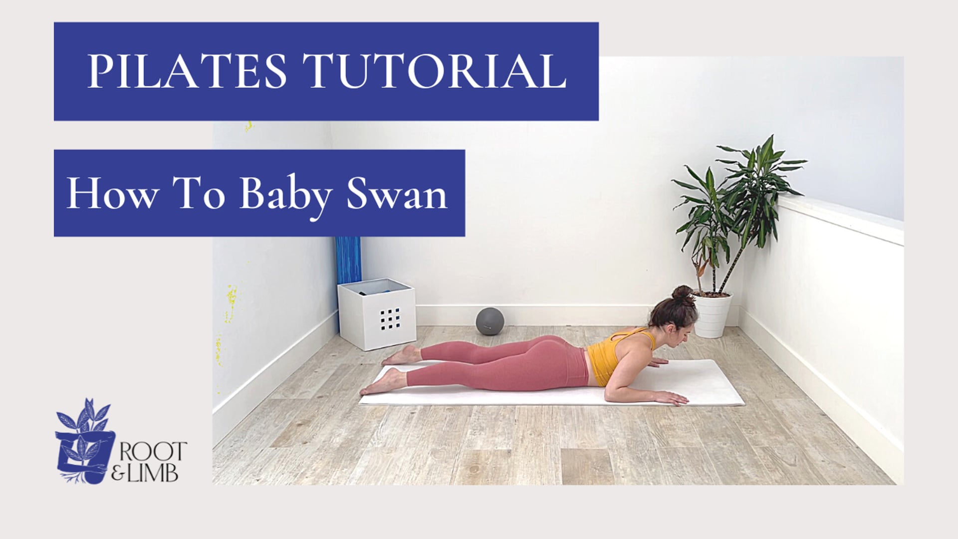 How to Baby Swan 