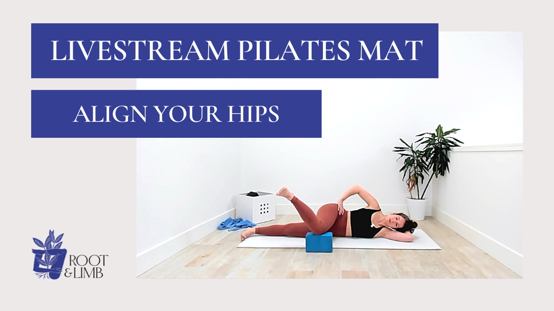Align Your Hips 