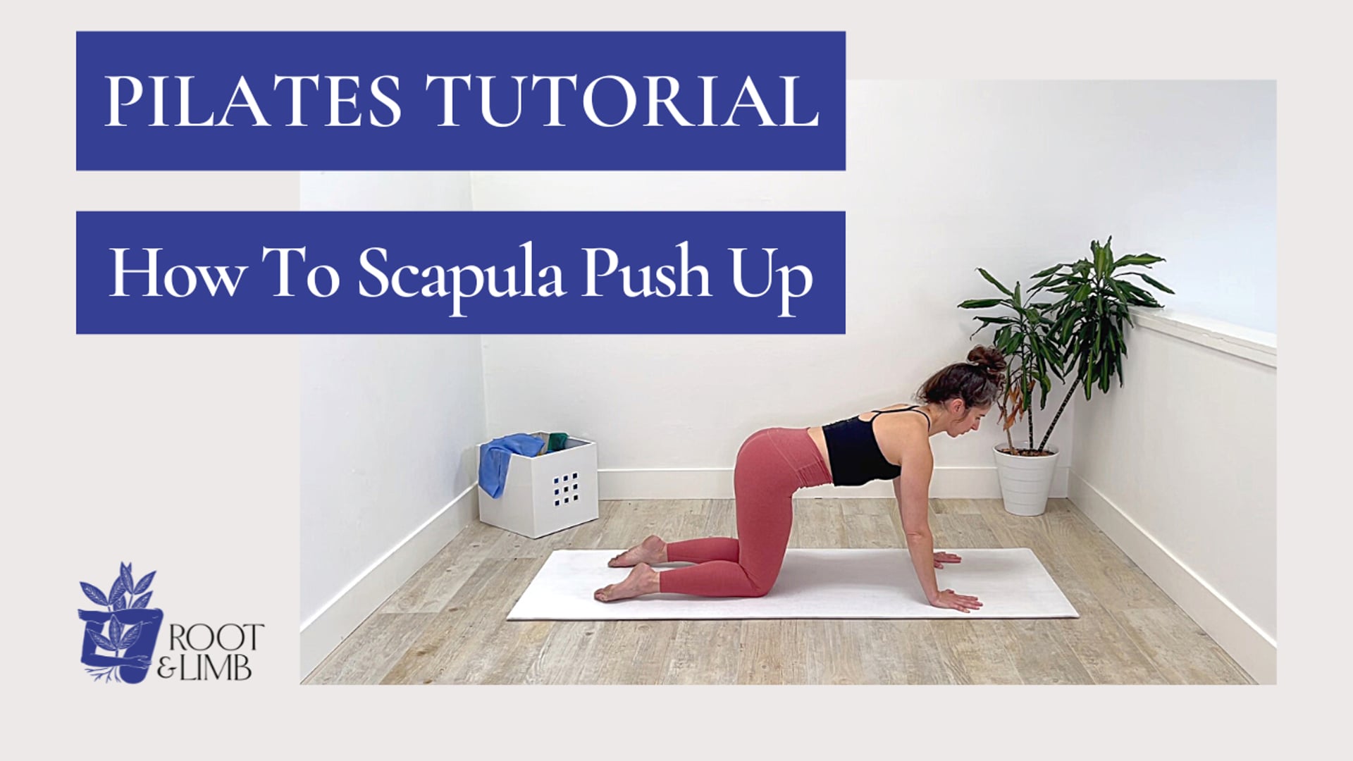 How To Scapula Push Up 