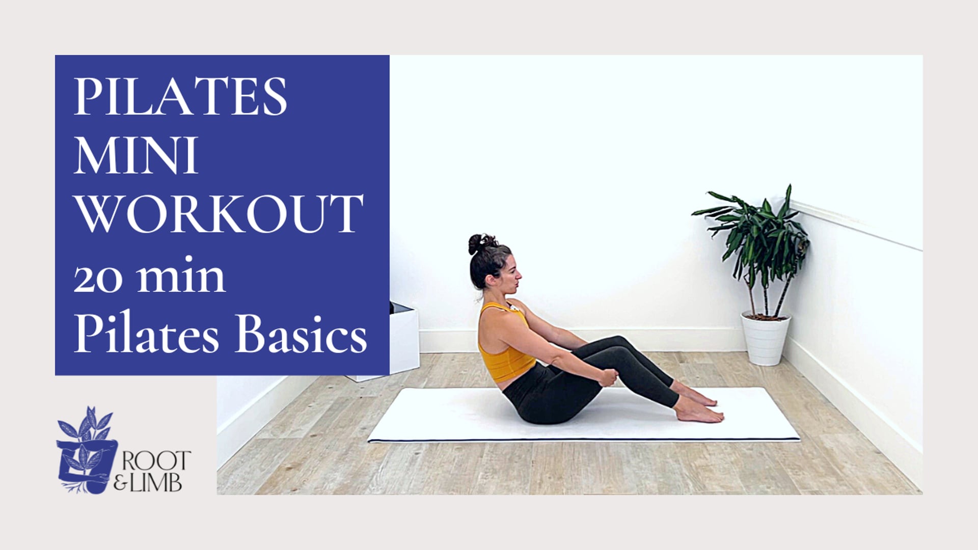 20 Min Pilates Basics 